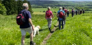 Organisers believe Alton Walking Festival has reached next level