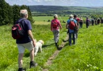 Organisers believe Alton Walking Festival has reached next level