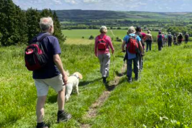 Walkers descend from Beacon Hill during the Alton Walking Festival