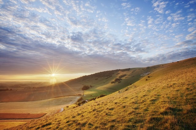 Local Elections 2023: Is it time we elected a South Downs chief?