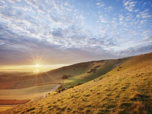 Local Elections 2023: Is it time we elected a South Downs chief?