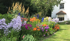 Two gardens open to raise money for Cardiac Rehab in Alton