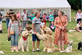Wrecclesham Village Fete back this Sunday – with first ever tug o' war