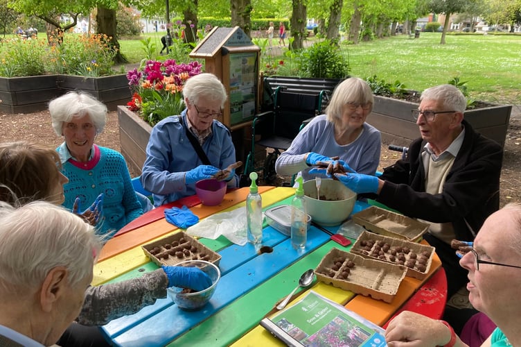 Members of dementia group Flourish make seed bombs for the sensory garden in Alton’s Public Gardens.