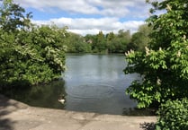 Mystery of dead birds found by Kings Pond in Alton