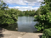 Chance for public to have their say on Kings Pond