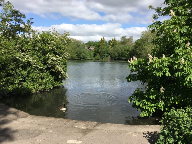Kings Pond in Alton.