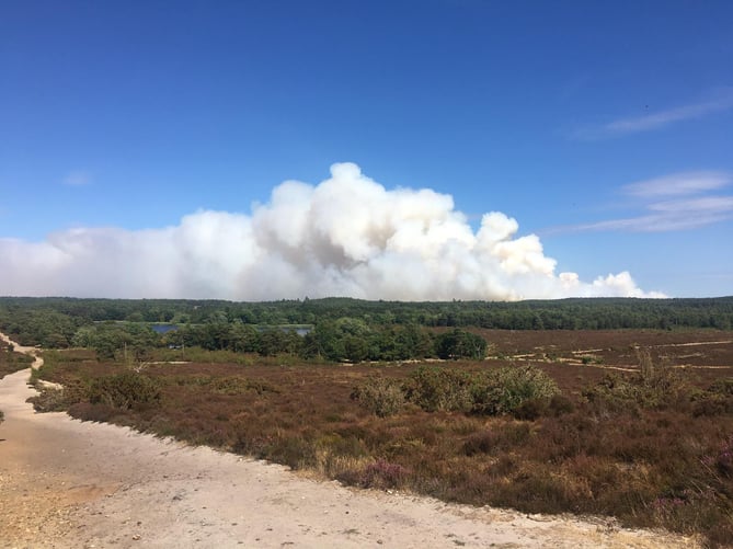 A huge plume of smoke rose above Hankley Common and was blown as far as west London and Heathrow airport – seen here from Kings Ridge, Frensham