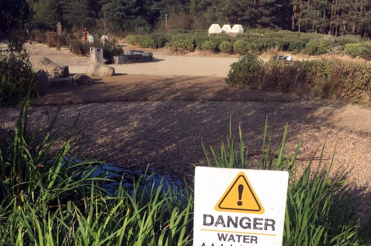 A dried up pond at Hogmoor Inclosure in Bordon, August 2022.
