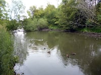 Both pond options remain after latest council debate