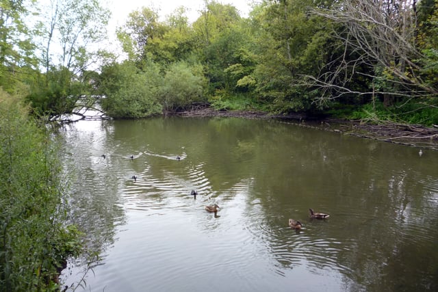 Parish poll results noted as Kings Pond debate continues