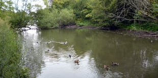 Both sides hoping for new attitudes in Kings Pond debate