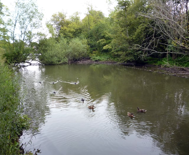Kings Pond in Alton will not be debated before September
