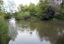 Lasham Drain could provide solution to Kings Pond problems
