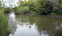 Alton Town Council denies trying to kill off Kings Pond