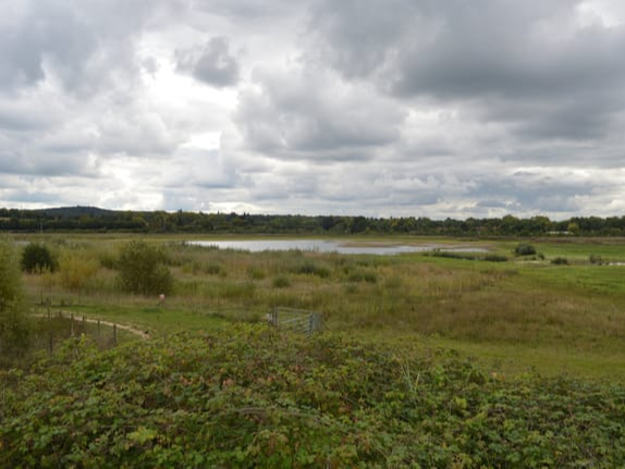Tice’s Meadow is widely considered one of the best inland sites to watch birds in the south east of England