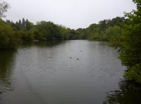 Fears that Alton’s Kings Pond could become a muddy swamp