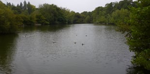 Town council to spend £44,000 investigating King's Pond options 