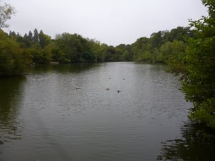 Town council to spend £44,000 investigating King's Pond options 