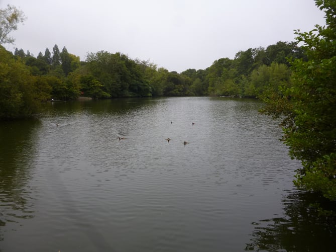 Kings Pond in Alton on August 23rd 2022.