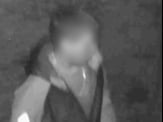 Police hope someone may recognise the distinctive clothing of this person suspected of a vandalism rampage in Farnham town centre on September 25