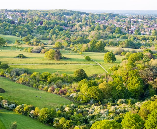 Dementia-friendly walk and scavenger hunt in Farnham Park next week
