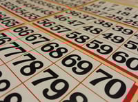 Bingo night for wildlife charity