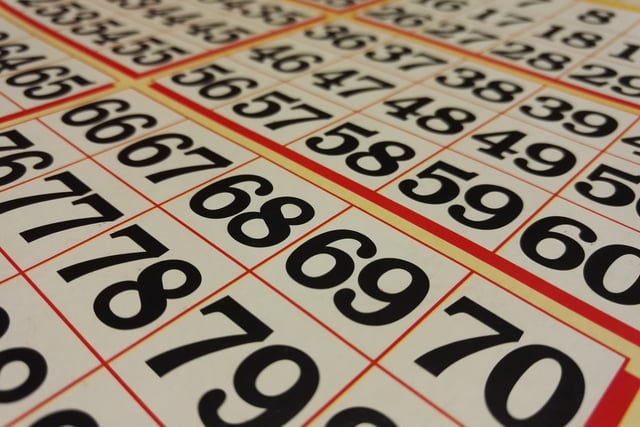 Bingo night for wildlife charity