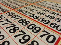 Bingo night for wildlife charity