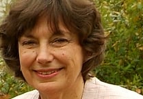 Former Alton Herald reporter wins award