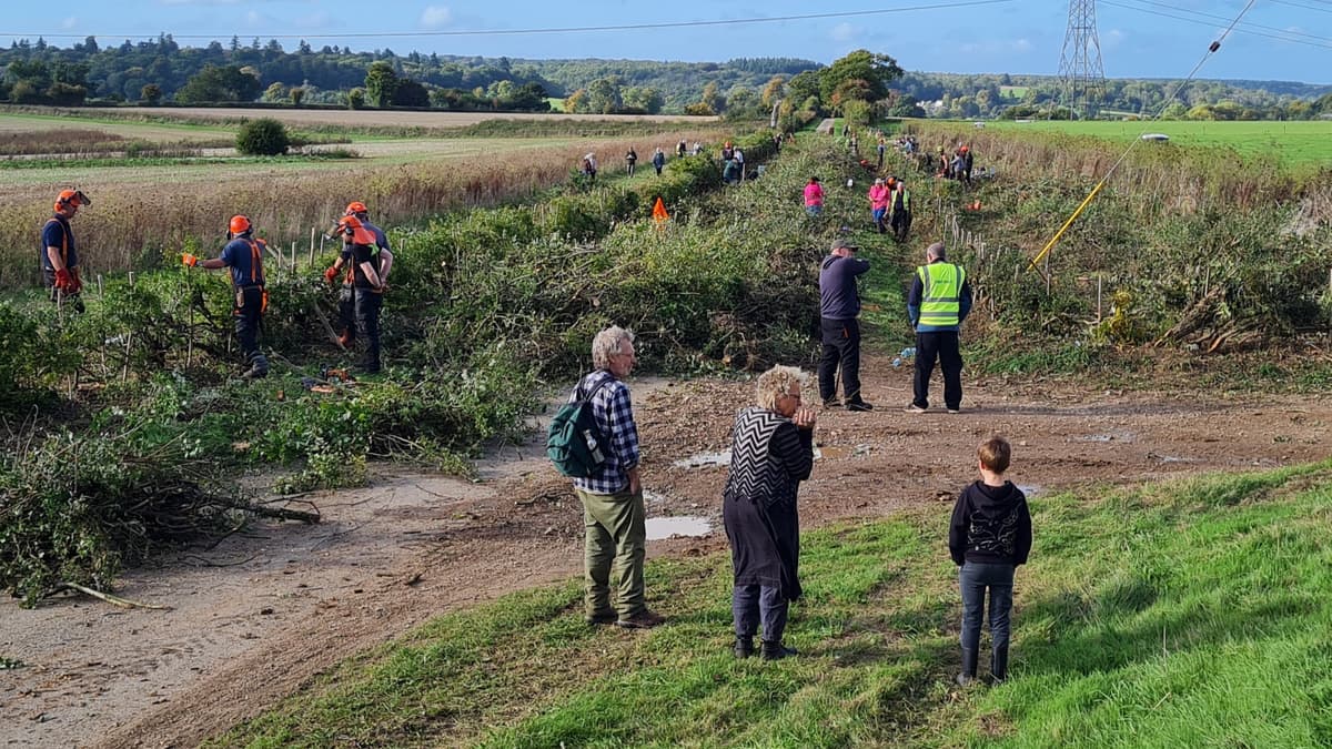 Rotherfield Park hedge layers go for world record