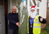 Order a Christmas tree from Farnham Round Table and help good causes!