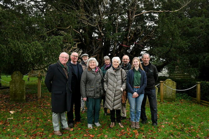 Pictured: Members from The Woodland Trust, East Hants District Council, South Downs National Park, Farringdon Parish Council and Farringdon Villagers gather together in front of the the new structures installed on the yew tree.A group of villagers have banded together to raise £13,000 and save one of Britain's oldest trees for 'generations to come'.  The 3,000-year-old ancient yew tree is among the country's ten oldest trees, and although it is healthy, it was becoming unstable.Measuring 30ft 6ins at its narrowest point, the 'ancient exceptional' classed tree needed a special brace to support it and hold together the strands of its hollow trunk.  'Ancient exceptional' is one of the classifications of yew tree based on their age and girth, guided by the Ancient Yew Group's protocols, part of the National Churches Trust.  SEE OUR COPY FOR DETAILS.© Simon Czapp/Solent News & Photo AgencyUK +44 (0) 2380 458800
