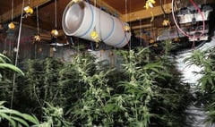Cannabis farm family jailed for Christmas