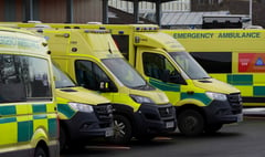 More than two in five ambulance patients waited more than an hour at Portsmouth Hospitals Trust last week