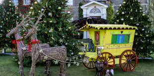 Hinton Ampner hosting The Wind in the Willows
