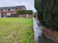 Charred body of burned dog found in residential area of Farnham