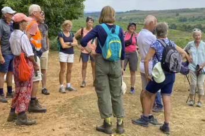 A Five to Ten group walk at Hasley Inclosure in the New Forest, 2022.