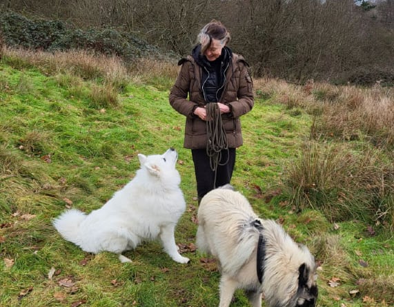 Haslemere DogPals' Inga and Nubi out for some air