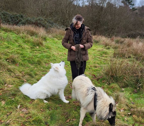 Haslemere DogPals' Inga and Nubi out for some air