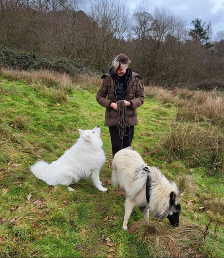 Haslemere DogPals' Inga and Nubi out for some air