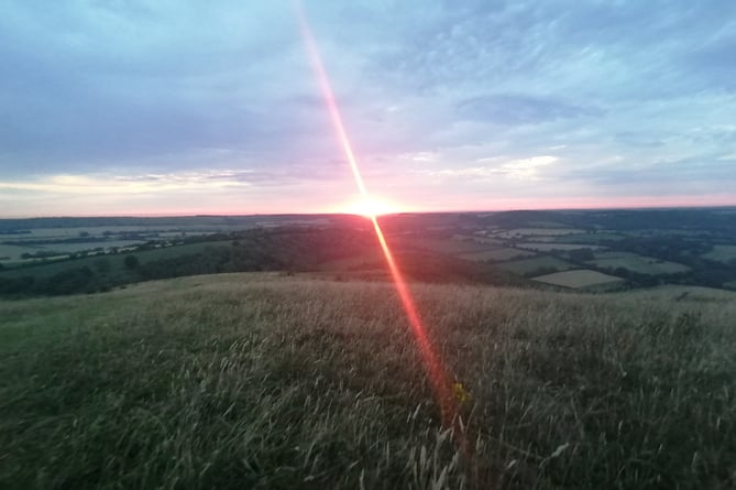 For those who want a more challenging hike, Butser Hill, the highest point on the South Downs, is located within Queen Elizabeth Country Park