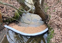Diesel leak into stream at Aldi in Petersfield 