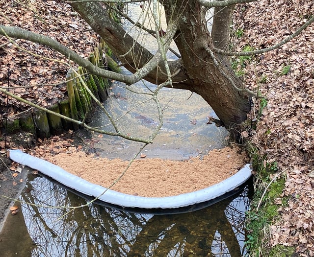 Diesel leak into stream at Aldi in Petersfield 
