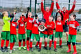 Chiddingfold Youth Chiefs under-tens beat Beacon Hill Tigers in final
