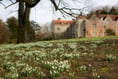 Chawton House holding two Snowdrop Sundays this month 