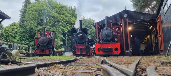 Old Kiln Light Railway, Rural Life Living Museum, Tilford.