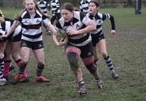 Farnham under-14s demolish Wimbledon and Old Emanuels in Waterfall Cup