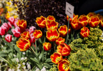 BBC Gardeners’ World Spring Fair returns to Beaulieu