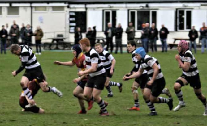 Dartfordians 20 Farnham 22, rugby union, February 18th 2023.